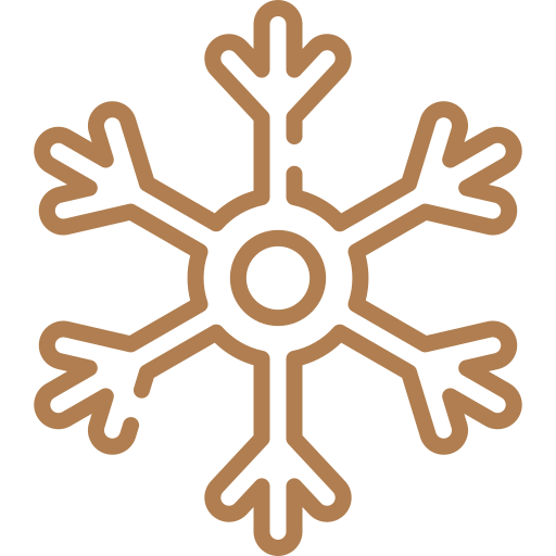 Internet Starlink inclusa